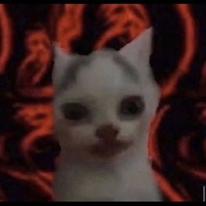 Meet your Posher, Analy